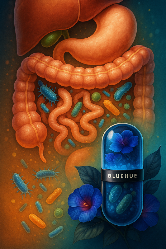 Resistant Starch and BlueHue The Gut Bug Buffet That Helps Your Liver